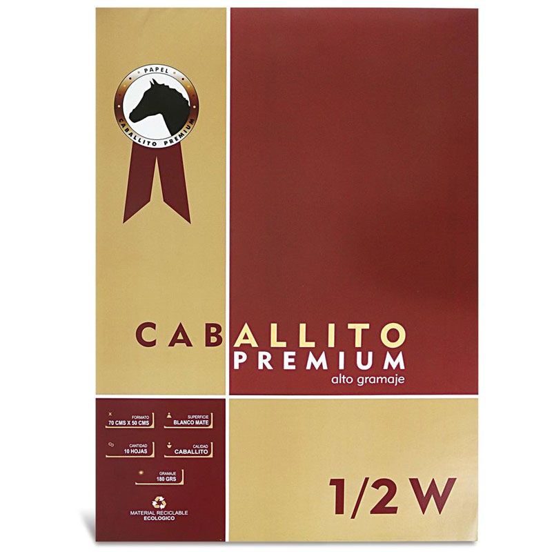 Hojas de Dibujo 1/2W 10 Hojas 180g Caballito