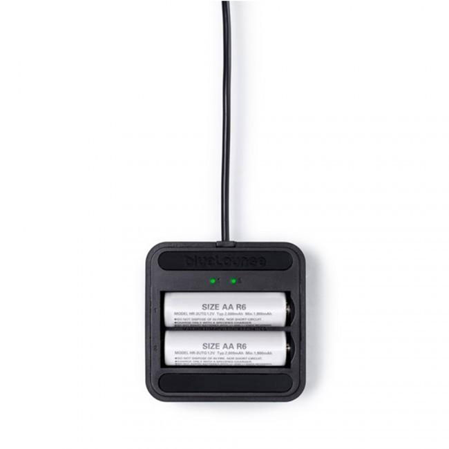 Cargador de Pilas AA USB Blue Lounge