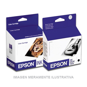 Cartucho Epson T603100 Negro Fotográfico